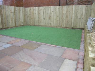 Picture 5